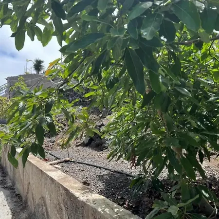 Διαμέρισμα Tenerife Ecolife By Estrella Del Norte Garachico (Tenerife)