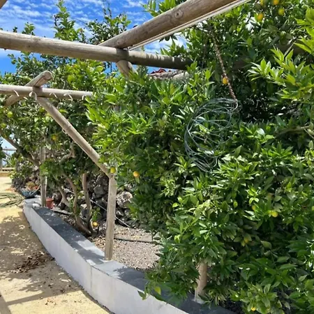 Tenerife Ecolife By Estrella Del Norte Διαμέρισμα