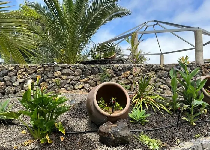 Tenerife Ecolife By Estrella Del Norte 加拉奇科