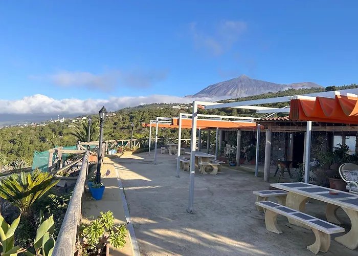 公寓 Tenerife Ecolife By Estrella Del Norte 加拉奇科