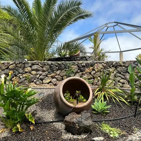 Tenerife Ecolife By Estrella Del Norte Garachico (Tenerife)