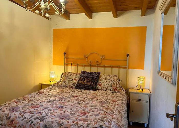 Tenerife Ecolife By Estrella Del Norte
