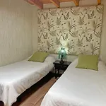 Tenerife Ecolife By Estrella Del Norte 가라치코