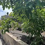 شقة Tenerife Ecolife By Estrella Del Norte غاراتْشيكو