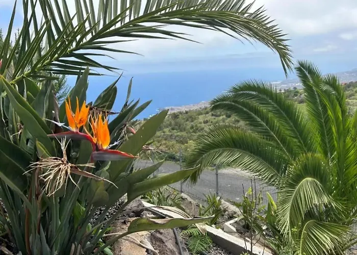 Tenerife Ecolife By Estrella Del Norte * Garachico (Tenerife)